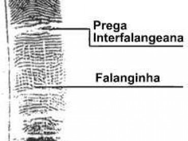Papiloscopia - Foto 2