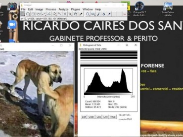 Perícia em Fotos - Foto 1